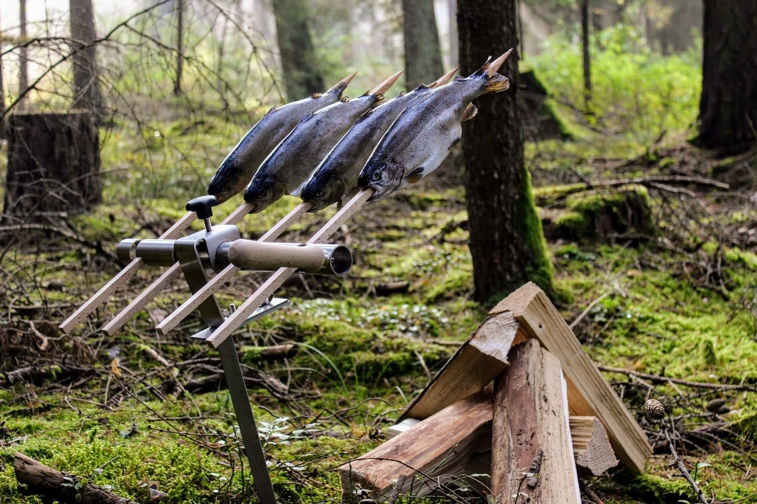 Steckerfisch Grillaufsatz für 4 Fische I Holzspieß I Lagerfeuer